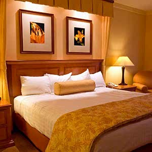 End�striyel & Hijyen Temizlik